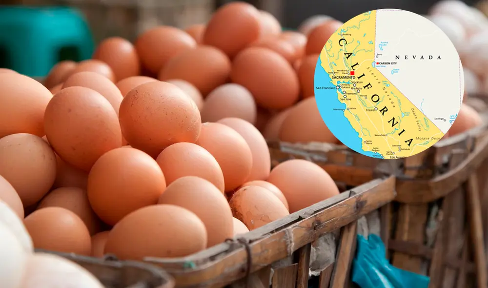 Se distribuirán 200 cajas de huevos, y se recomienda llegar temprano, ya que la entrega será por orden de llegada. Foto: Composición LR/iStock/Semana