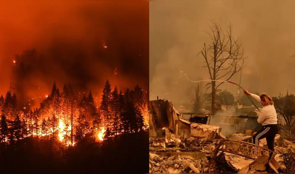 Según los lineamientos de esta iniciativa en EE.UU., el apoyo financiero está dirigido a cubrir los gastos derivados de los siniestros forestales. Foto: difusión.
