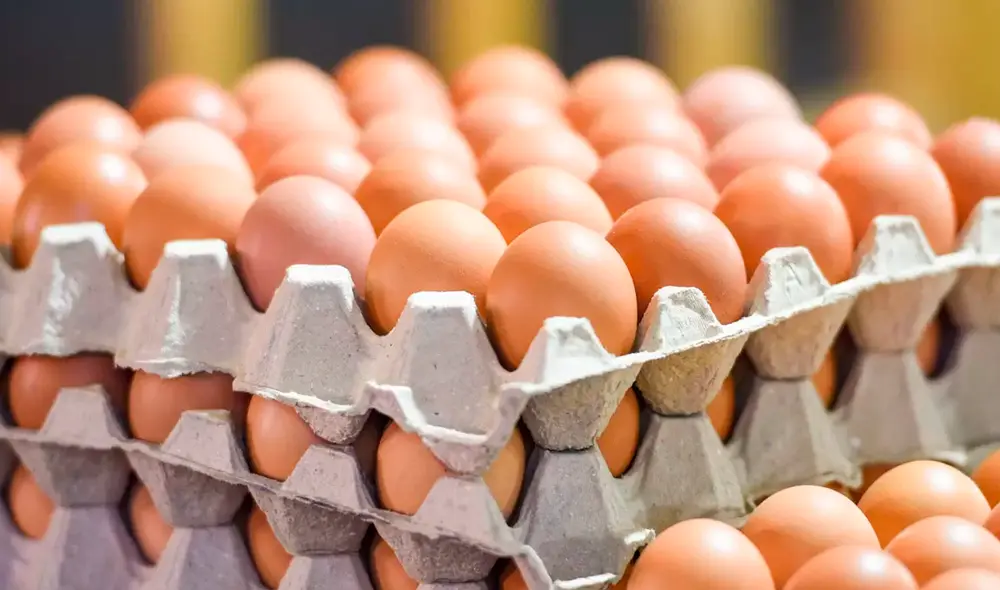 El precio promedio de una docena de huevos blancos grandes es de US$4,90, tras alcanzar un máximo histórico de US$8,64 el 5 de marzo. Foto: AviNews