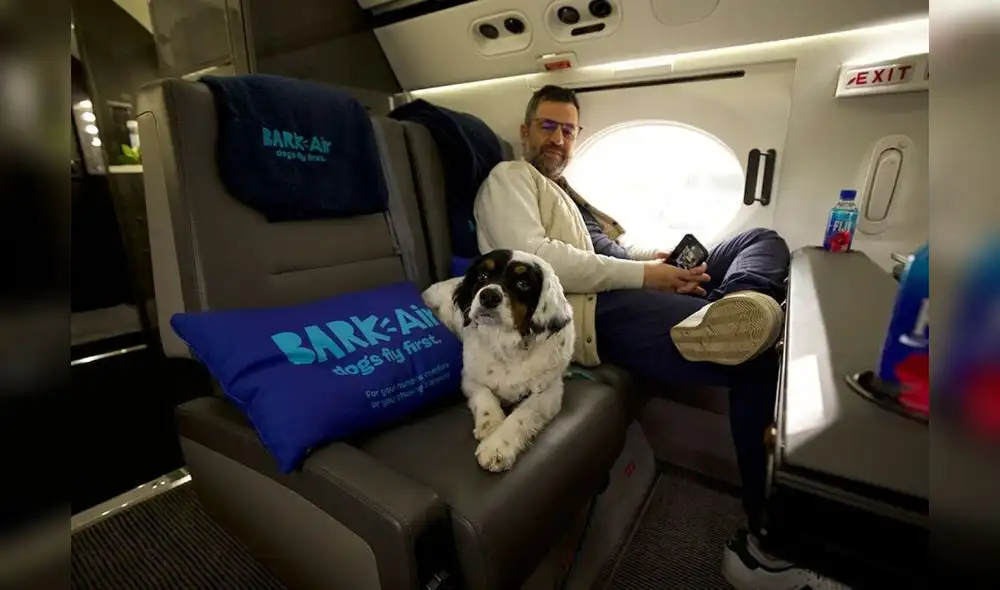 Descubre cómo BARK Air lanza su nueva ruta aérea entre Nueva York y Florida, ofreciendo un vuelo cómodo y seguro para perros. Foto: El País Uruguay.