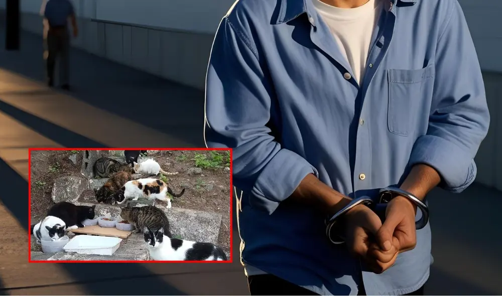 Gabriel Skyler Caswell, empleado de un refugio de animales en Texas, fue condenado a 40 años de prisión por torturar y asesinar gatitos. Gabriel Skyler Caswell, empleado de un refugio de animales en Texas, fue condenado a 40 años de prisión por torturar y asesinar gatitos.