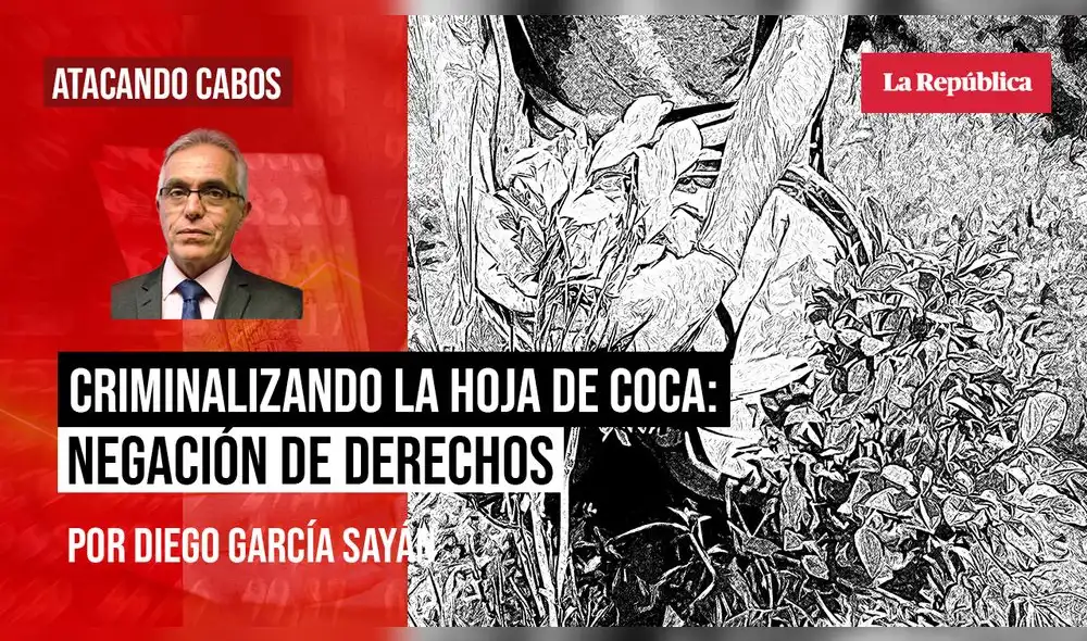 Diego García Sayán