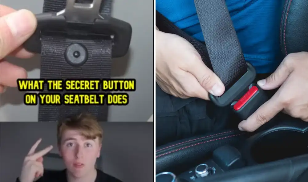 Este descubrimiento ha generado un gran interés en las redes sociales, donde muchos usuarios han expresado su sorpresa al conocer la importancia de este pequeño componente. Foto: composición LR/La Nación/TikTok Este descubrimiento ha generado un gran interés en las redes sociales, donde muchos usuarios han expresado su sorpresa al conocer la importancia de este pequeño componente. Foto: composición LR/La Nación/TikTok