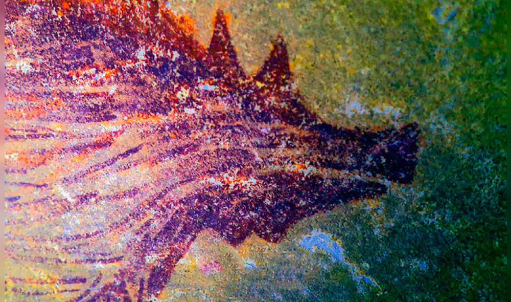 La imagen, encontrada en Leang Tedongnge, en la isla de Célebes (Sulawesi), fue elaborada con pigmento rojo ocre. Foto: Science. La imagen, encontrada en Leang Tedongnge, en la isla de Célebes (Sulawesi), fue elaborada con pigmento rojo ocre. Foto: Science.