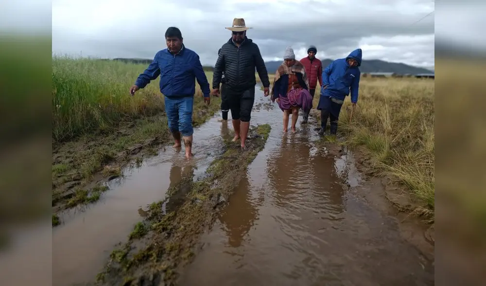 Los diversos cultivos en Puno se han perdido debido a las inundaciones. FOTO: Liubomir Fernández Los diversos cultivos en Puno se han perdido debido a las inundaciones. FOTO: Liubomir Fernández
