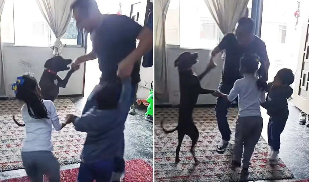 Clip generó emotivas reacciones en redes. Foto: composición LR/ TikTok Clip generó emotivas reacciones en redes. Foto: composición LR/ TikTok