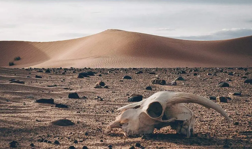 Las altas temperaturas generan preocupación a nivel mundial. Foto: CNN