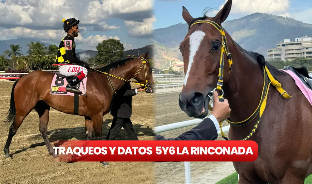 El monto sellado del 5y6 en La Rinconada lleva tres semanas seguidas por encima de los Bs. 50 millones. Foto: composición LR / INH El monto sellado del 5y6 en La Rinconada lleva tres semanas seguidas por encima de los Bs. 50 millones. Foto: composición LR / INH