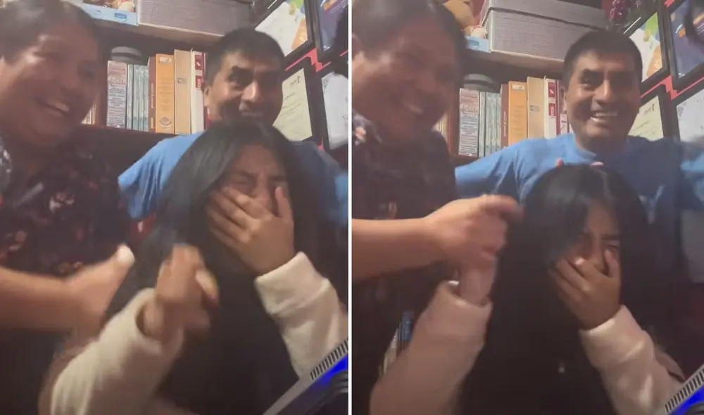 "Qué ejemplo para todos los jóvenes peruanos", reaccionaron usuarios. Foto: composición LR/ TikTok