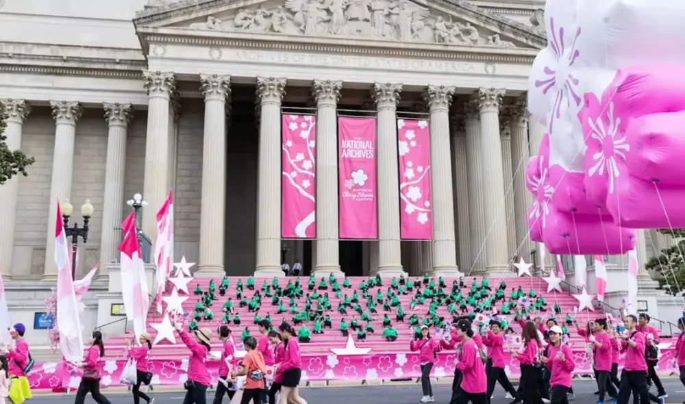 El Festival Nacional de los Cerezos en Flor de Washington D.C. se celebra anualmente desde 1935, conmemorando el regalo de los cerezos en flor de Japón a Estados Unidos en 1912. Foto: Washington DC