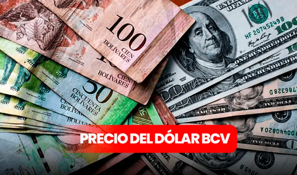 Precio del dólar BCV hoy, martes 25 de marzo de 2025, según el Banco Central de Venezuela. Foto: composición LR/AFP.