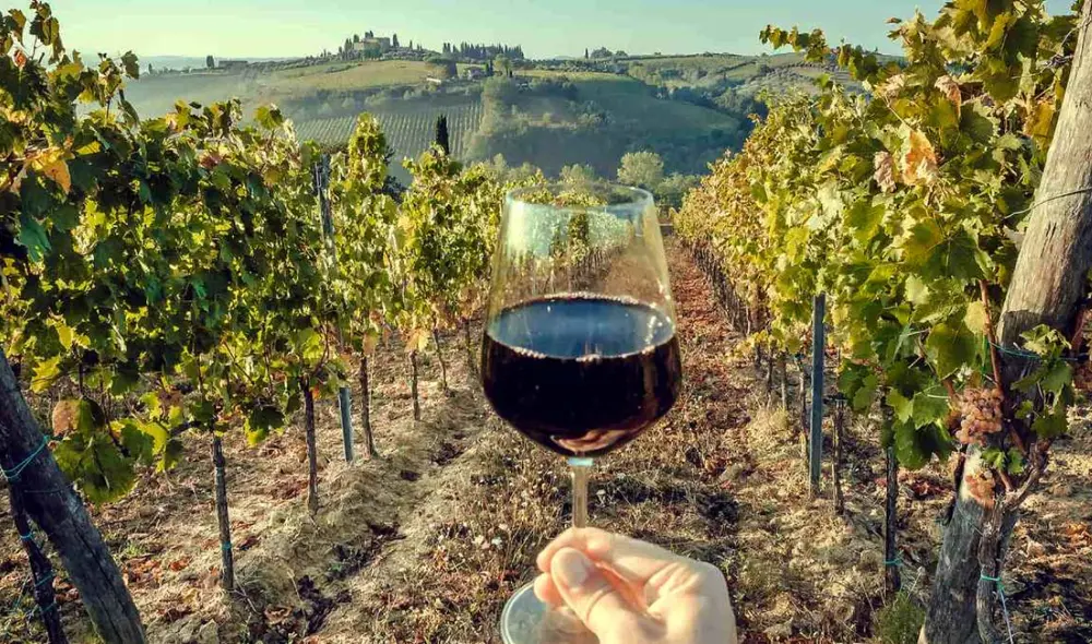 En California, aproximadamente el 75% del vino producido en el estado se consume dentro de Estados Unidos, siendo una gran parte de este consumo dentro del propio estado. Foto: El Souvenir En California, aproximadamente el 75% del vino producido en el estado se consume dentro de Estados Unidos, siendo una gran parte de este consumo dentro del propio estado. Foto: El Souvenir