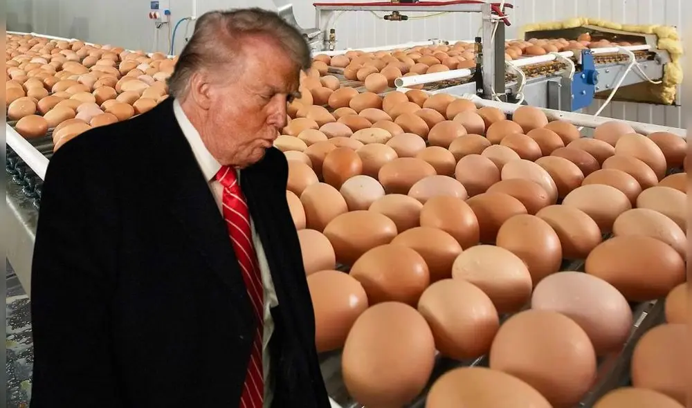 Debido al aumento de casos de gripe aviar, la administración de Donald Trump decidió importar huevos para abaratar precios. Foto: Composición LR/Avi News/AFP Debido al aumento de casos de gripe aviar, la administración de Donald Trump decidió importar huevos para abaratar precios. Foto: Composición LR/Avi News/AFP