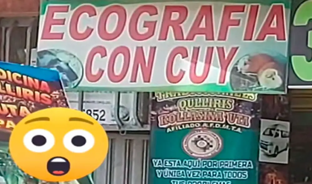 La escena de TikTok dejó claro que, en el Perú, la creatividad no tiene límites. Foto: TikTok / @wilmer.edgar.arhu