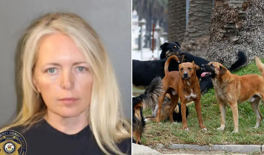 La policía de Pueblo County encontró 54 perros viviendo entre basura y excrementos tras la muerte de LaVonne Hoff. Foto: composición LR/Pueblo County Sheriff's Office