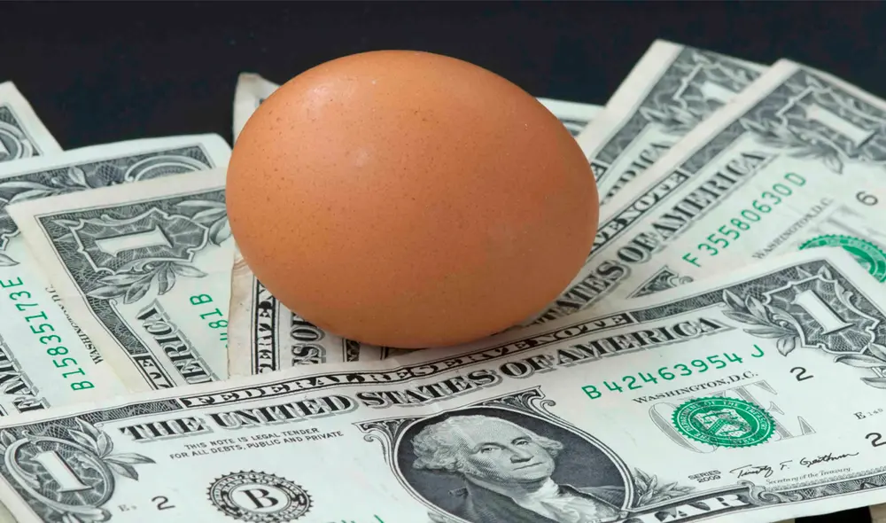 Polonia, Finlandia y Dinamarca rechazaron exportar huevos a Estados Unidos. Foto: difusión