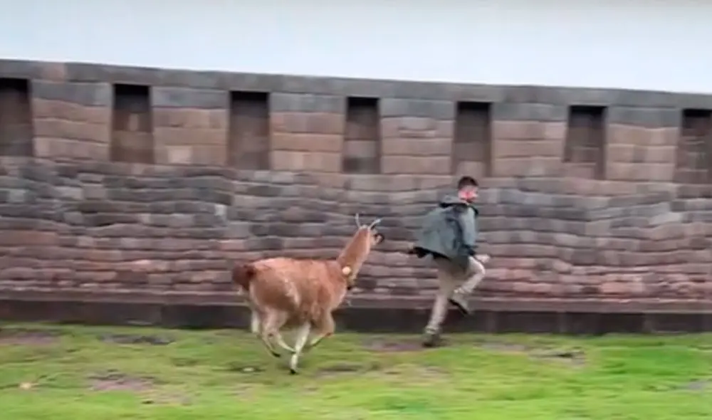 El muchacho al ver que iba a ser alcanzado por la llama, no dudó en meterse a una habitación cercana. Video es viral en TikTok. Foto: TikTok/ @nicklovesbugs
