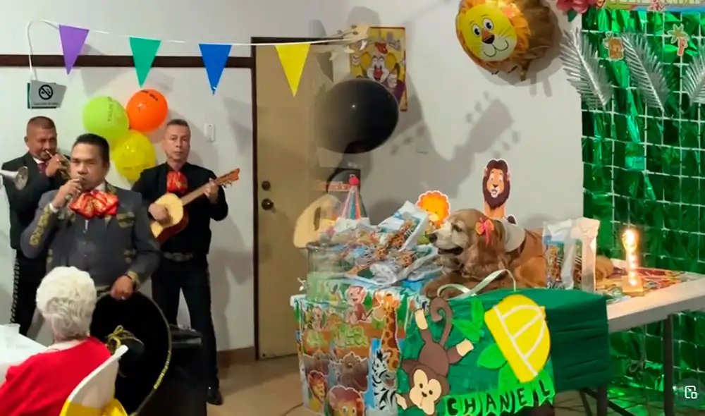 La insólita escena sacó más de una sonrisa y aplausos de los usuarios en TikTok. Foto: composición LR/ TikTok / @cuartaselpaisa