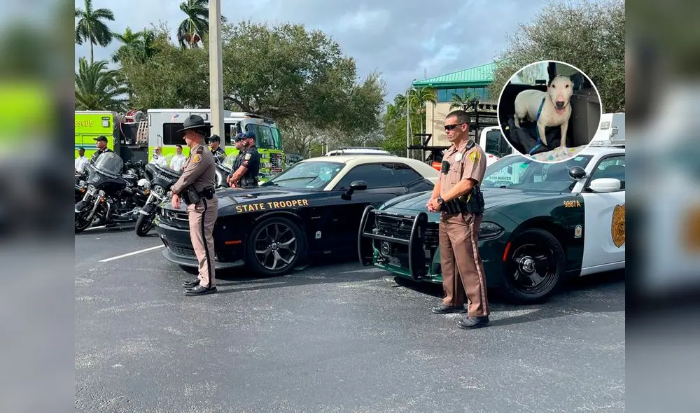 Descubre cómo la "Ley Trooper" en Florida busca proteger a los animales en situaciones de desastre natural, estableciendo sanciones severas por el abandono animal.  Foto: Composición LR/MIV/Miami Diario.