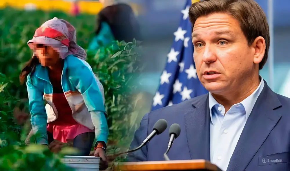 La reforma laboral en Florida busca abordar la escasez de trabajadores migrantes permitiendo que menores de edad trabajen más horas. Foto: Composición LR/Pulso/CNN.