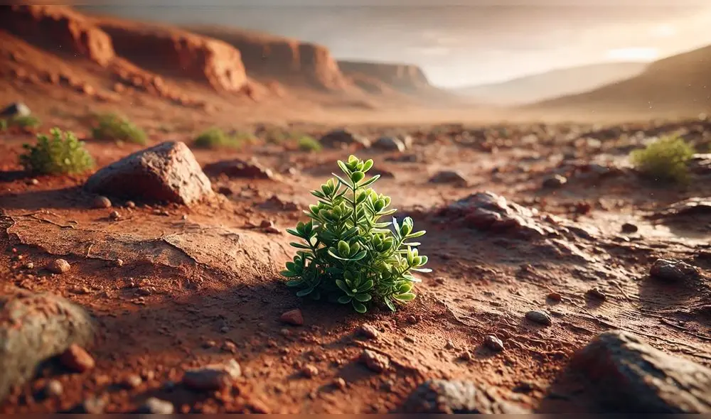 La posibilidad de cultivar plantas en Marte podría ser un paso crucial para establecer una presencia humana. Foto: Dall-e