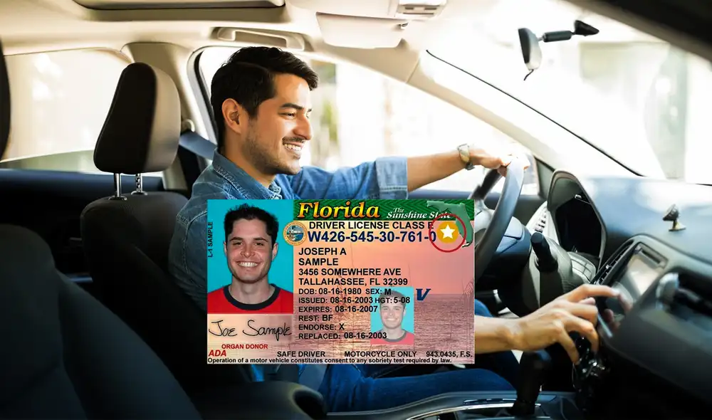 Obtener una licencia de conducir en Florida es clave para la integración de inmigrantes. Foto: composición LR/ Blog Trip/ El Nuevo Herald