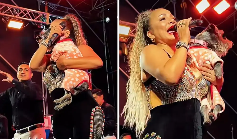 Clip enterneció en redes sociales. Foto: composición LR/ TikTok