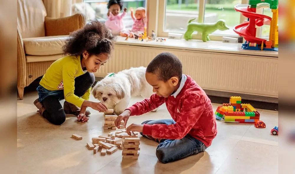 Especialistas indican que la atención veterinaria y la vacunación temprana son claves para su salud.