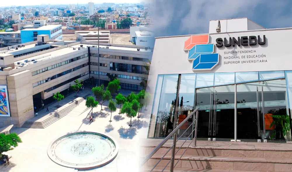 Los nuevos cambios de Sunedu responden a las necesidades de mejorar la rapidez y eficiencia de los servicios para la comunidad universitaria. Foto: Sunedu Los nuevos cambios de Sunedu responden a las necesidades de mejorar la rapidez y eficiencia de los servicios para la comunidad universitaria. Foto: Sunedu