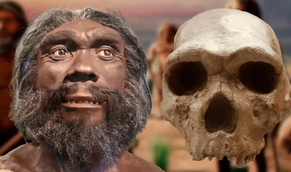 Universidad de Cambridge revela nueva teoría sobre el origen de la raza humana moderna. Foto: CNN Universidad de Cambridge revela nueva teoría sobre el origen de la raza humana moderna. Foto: CNN