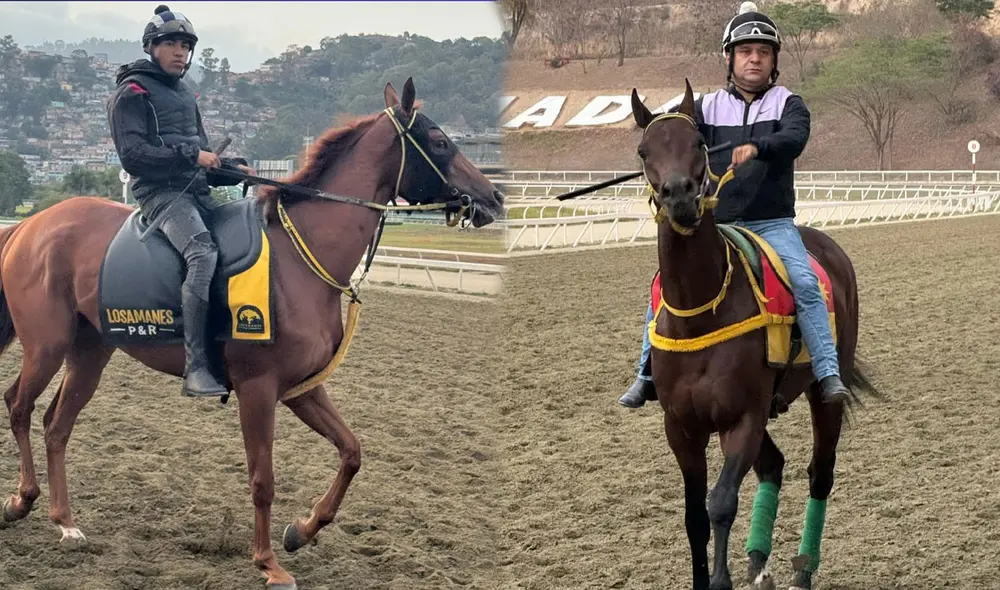 Revisa los tiempos de los ejercicios y briseos de los caballos en competencia. Foto: composición LR / INH Revisa los tiempos de los ejercicios y briseos de los caballos en competencia. Foto: composición LR / INH