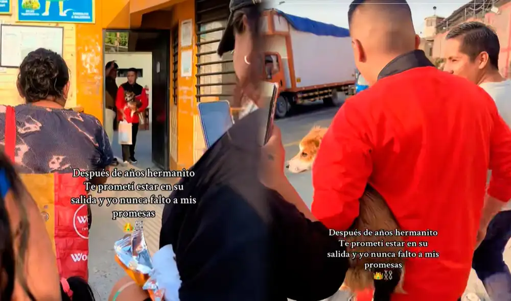 Internautas bromearon y se preguntaron cuál habría sido el delito del perro para haber estado en el penal. Foto: composición LR/ TikTok/ @diegoalonsoas