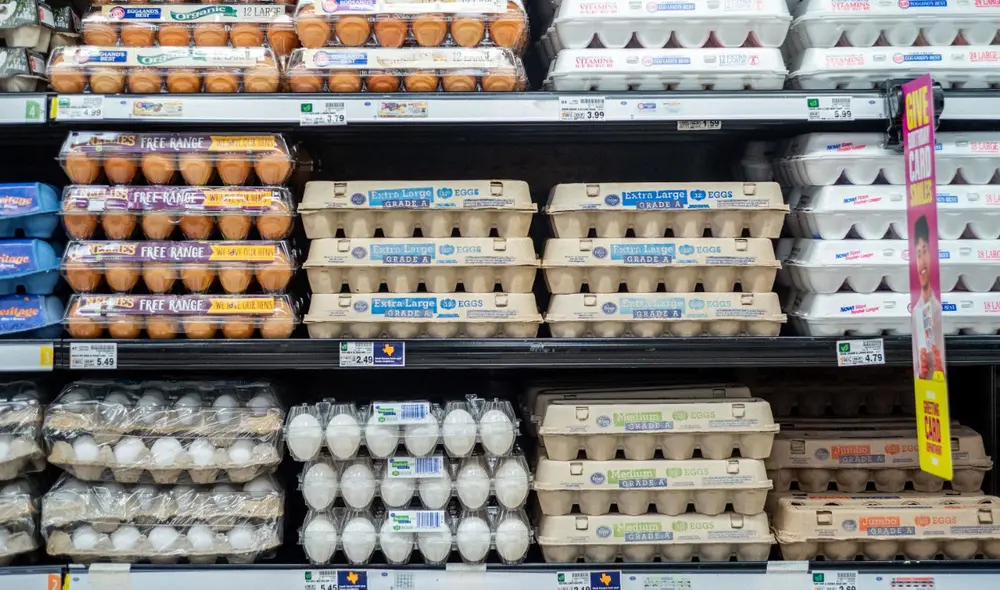 Las etiquetas de los huevos indican el trato a las gallinas y sus condiciones de vida, ayudando a elegir según tus valores. Foto: composición LR/CNN