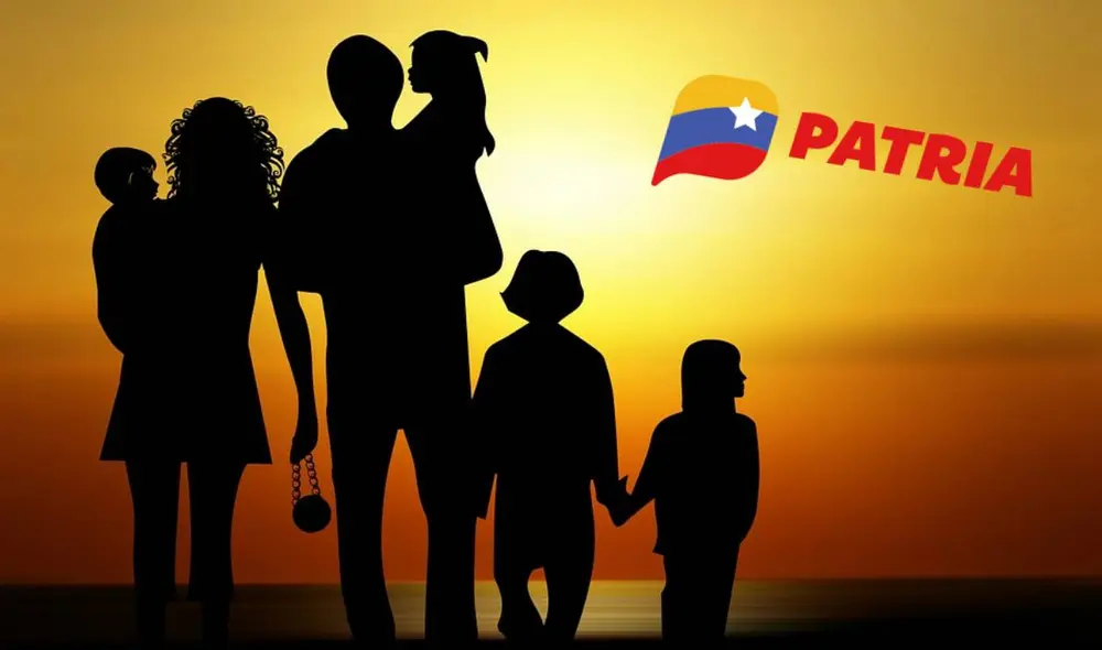 La mayoría de bonos de la patria se entregan por la plataforma del mismo nombre. Foto: composiciónLR/Freepik/Patria La mayoría de bonos de la patria se entregan por la plataforma del mismo nombre. Foto: composiciónLR/Freepik/Patria