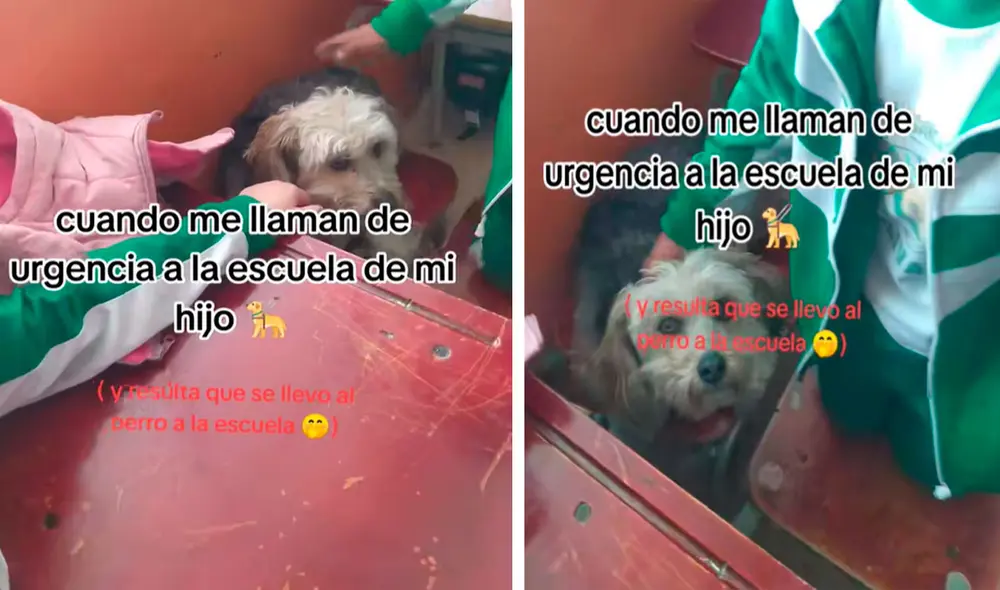 El video del curioso momento del niño con su perrito no tardó en volverse viral en TikTok. Foto: composición LR/ TikTok / @stepypucuna