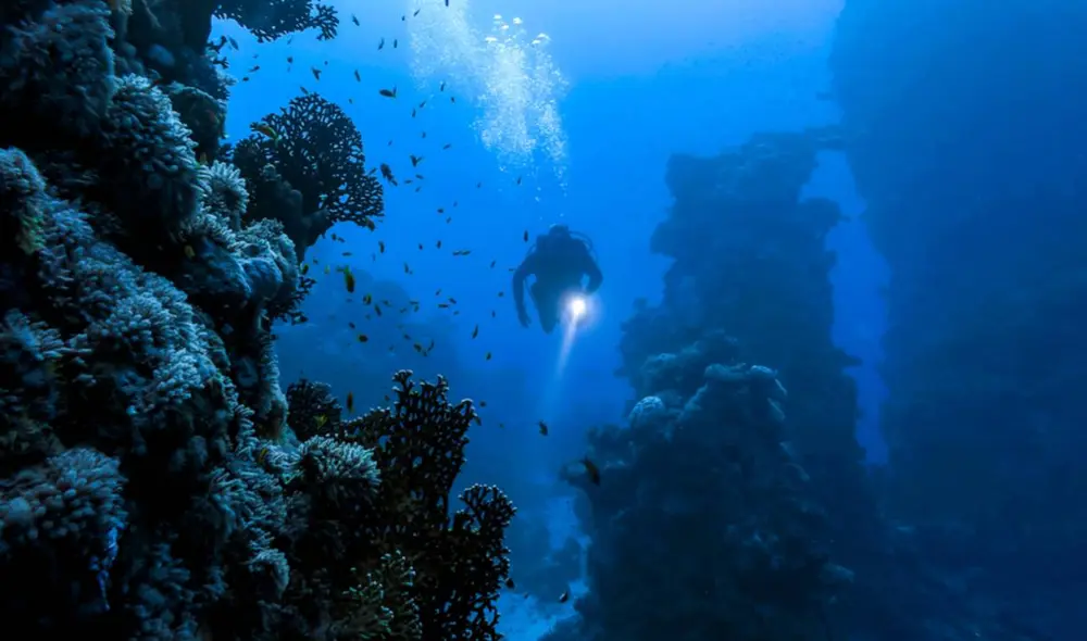 Científicos podrán explorar más fácil el mar con las nuevas cartografías. Foto: CNN Científicos podrán explorar más fácil el mar con las nuevas cartografías. Foto: CNN