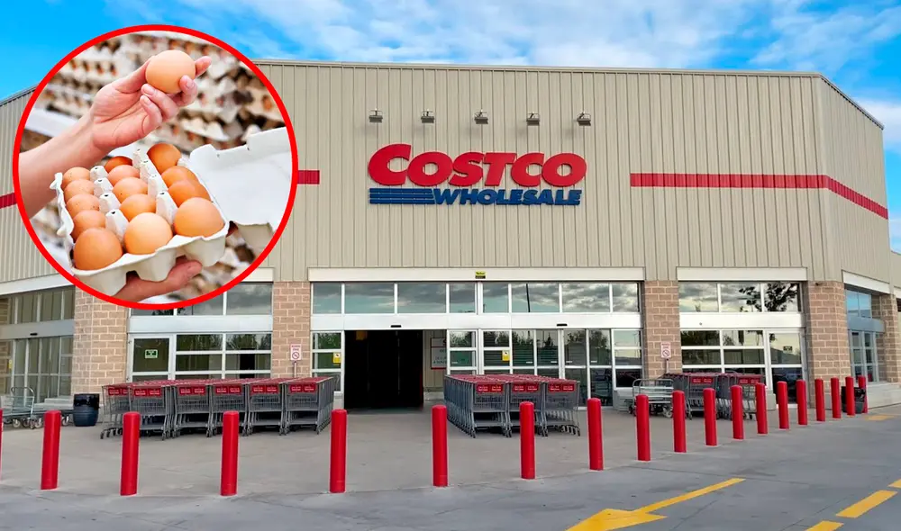 Aunque las restricciones en la compra de huevos han sido levantadas, las variaciones en precios y disponibilidad persisten.  Foto: Composición LR/Costco España/AviNews