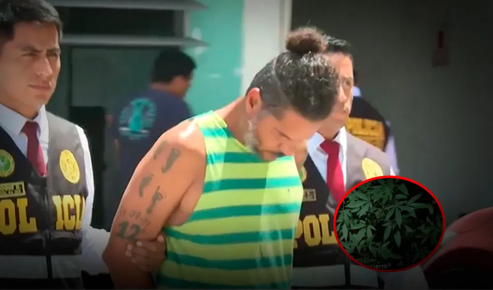 Implicados en la comercialización de droga ya fueron dispuestos ante las autoridades. Foto: Composición LR/América Noticias Implicados en la comercialización de droga ya fueron dispuestos ante las autoridades. Foto: Composición LR/América Noticias