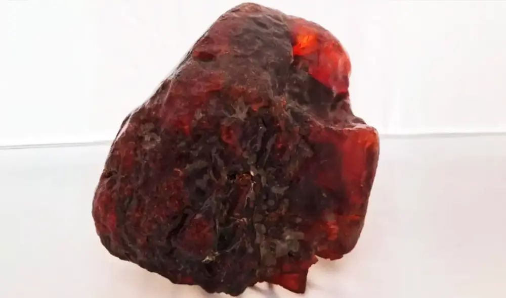 La pieza de ámbar de 3,5 kilogramos es la pieza de rumanita más grande jamás encontrada. Foto: Museo de Buzau