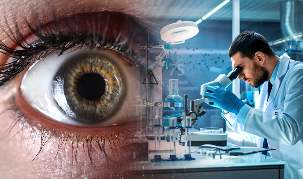 Este estudio representa la primera vez que se logra inducir con éxito la regeneración neuronal retiniana. Foto: composición LR/INVDES Este estudio representa la primera vez que se logra inducir con éxito la regeneración neuronal retiniana. Foto: composición LR/INVDES