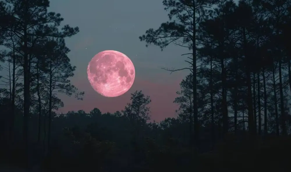 La luna rosa es una de las doce lunas llenas que tendrá este 2025. Foto: starwalk.space