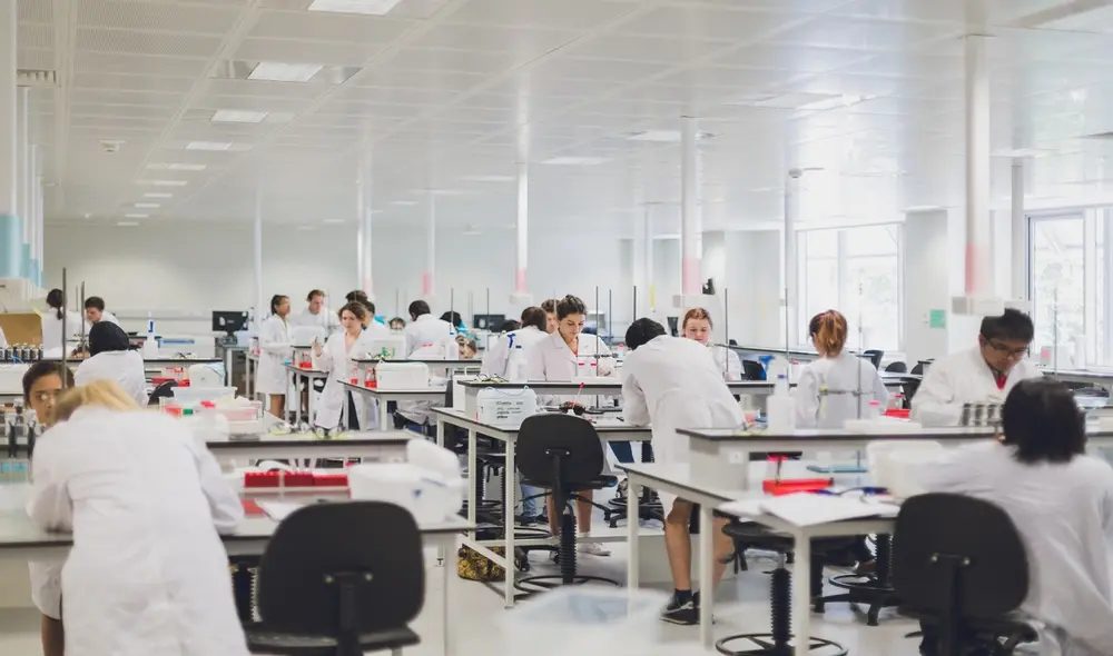 Jóvenes podrán estudiar carreras para estudiar en Australia. Foto: difusión Jóvenes podrán estudiar carreras para estudiar en Australia. Foto: difusión