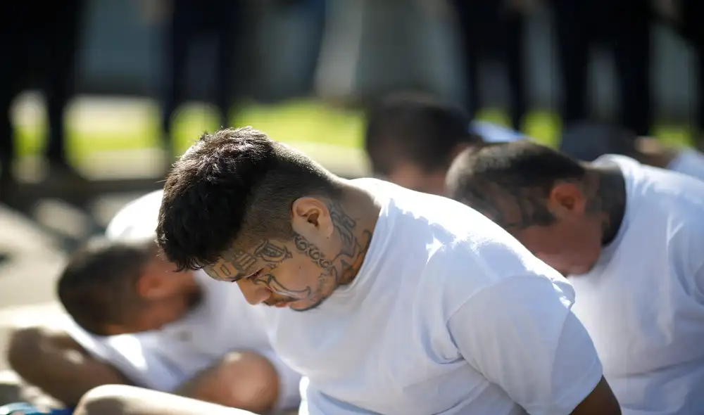 El Departamento de Justicia de EEUU calcula que la MS- 13 cuenta con 100.000 miembros aproximadamente. Foto: Infobae