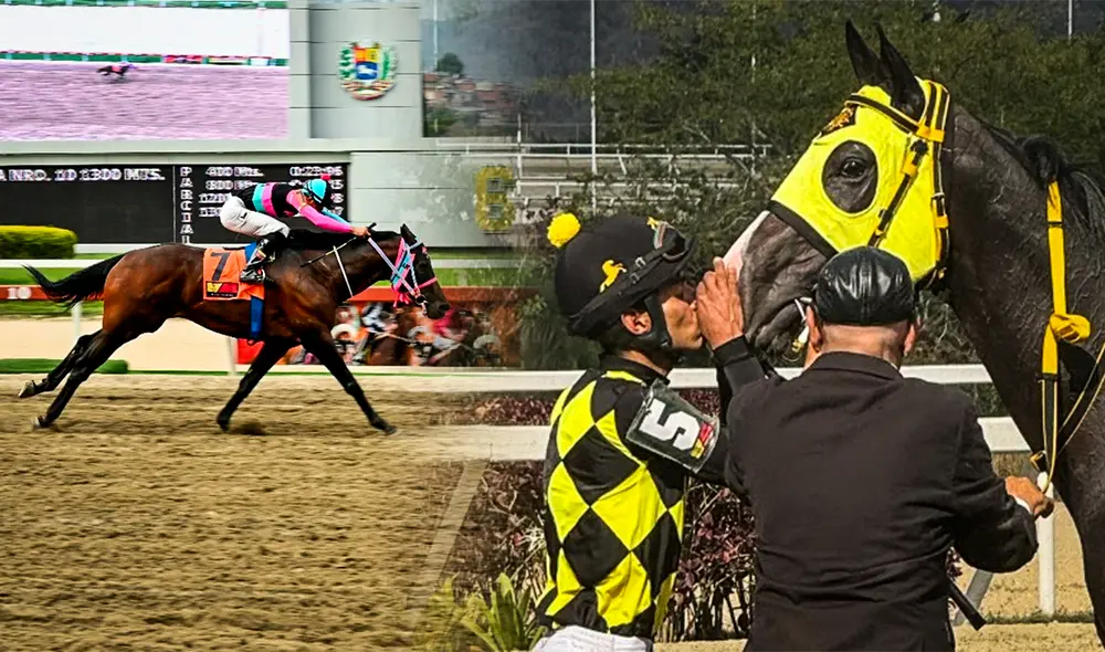 Los datos de La Rinconada se actualizan el sábado en algunos casos. Foto: composición LR/INH