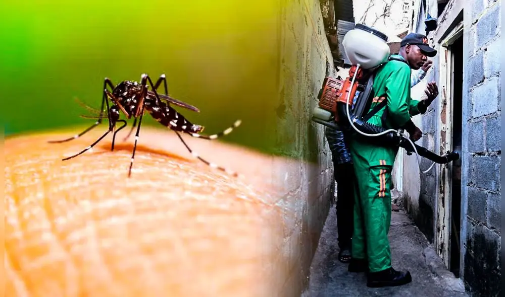 Esta resistencia compromete la eficacia de las estrategias tradicionales de control. Foto: Composición LR/OPS/Presidencia.