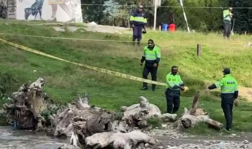 Hallazgo de cuerpo calcinado conmocionó a vecinos de Huancayo. Foto: captura Huanca York Times