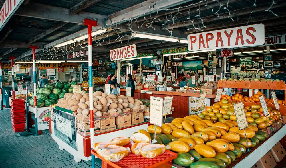 Investigadores de la Universidad de Florida estudian una fruta que podría salvar la economía del estado. Foto: Miami Beach Investigadores de la Universidad de Florida estudian una fruta que podría salvar la economía del estado. Foto: Miami Beach