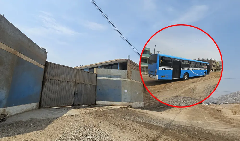 Ruta A, C y 'Cóndor' suspenden servicios tras asesinato de chofer en Los Olivos. Foto: composición de Gerson Cardoso/Silvana Quiñonez/La República