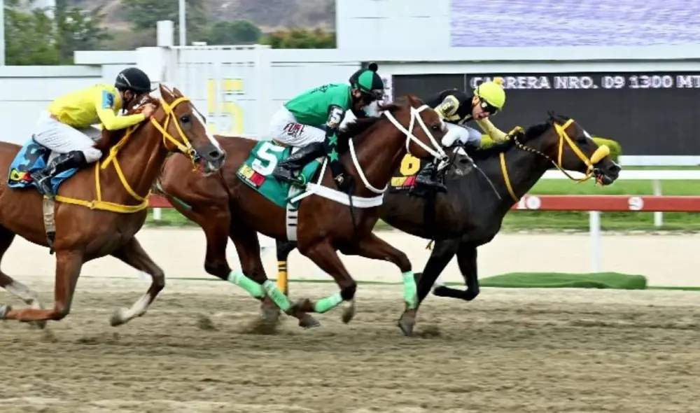 El Hipódromo La Rinconada disputará diez carreras en su reunión 12 del año. Foto: INH El Hipódromo La Rinconada disputará diez carreras en su reunión 12 del año. Foto: INH