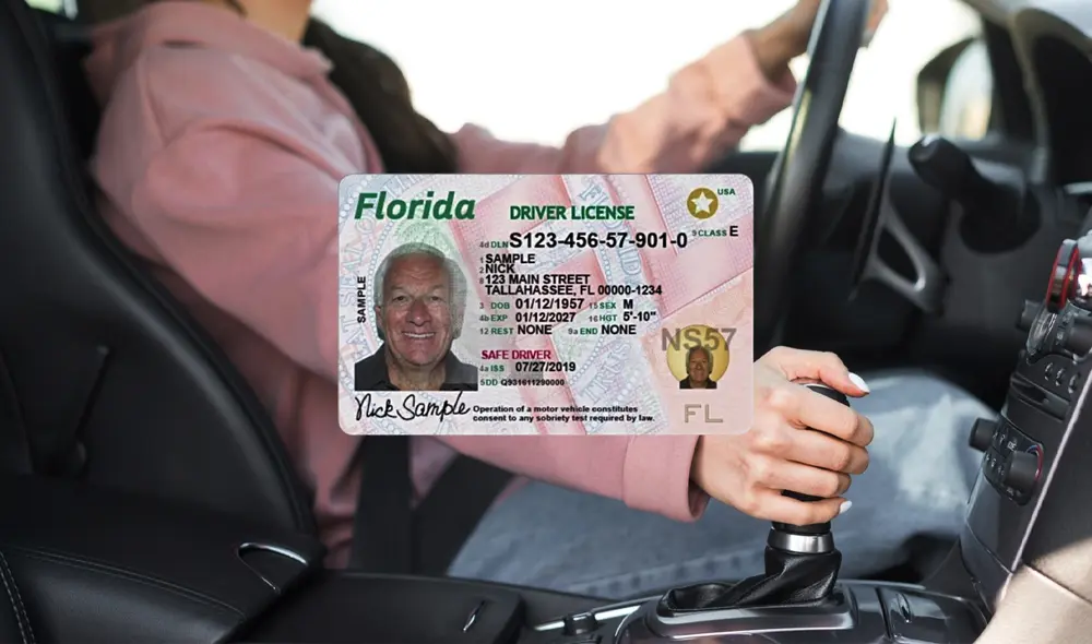 La licencia de conducir en Florida es clave tanto para operar vehículos como para identificación en trámites. Foto: composición LR/ Freepik/FLHSMV